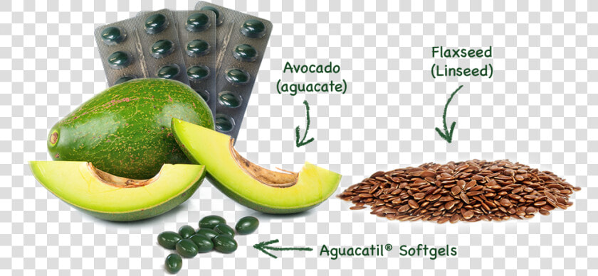 Transparent Aguacate Png   Capsulas De Aceite De Aguacate  Png DownloadTransparent PNG