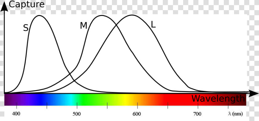 Plot  HD Png DownloadTransparent PNG