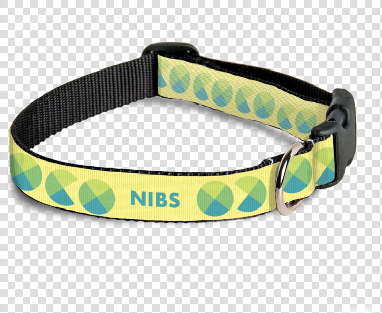 Pet Collars Blue 1  HD Png DownloadTransparent PNG