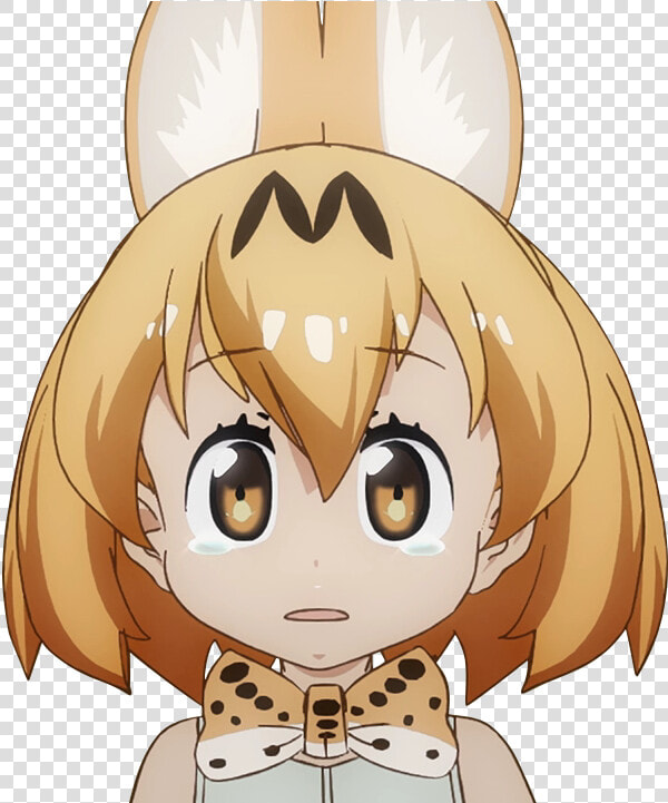 Weird Png  that S Weird     Kemono Friends Serval Sad  Transparent PngTransparent PNG