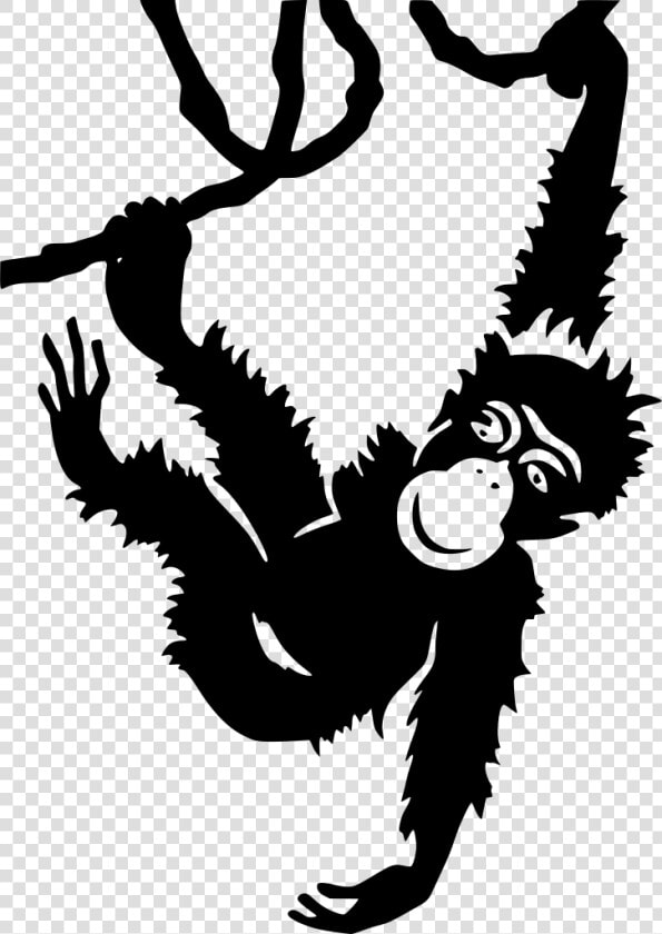 San Diego Zoo Poster  HD Png DownloadTransparent PNG