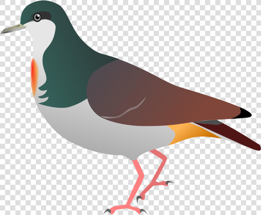 Sulu Bleeding Heart Pigeon   Png Download   Mindoro Bleeding Heart Sketch  Transparent PngTransparent PNG