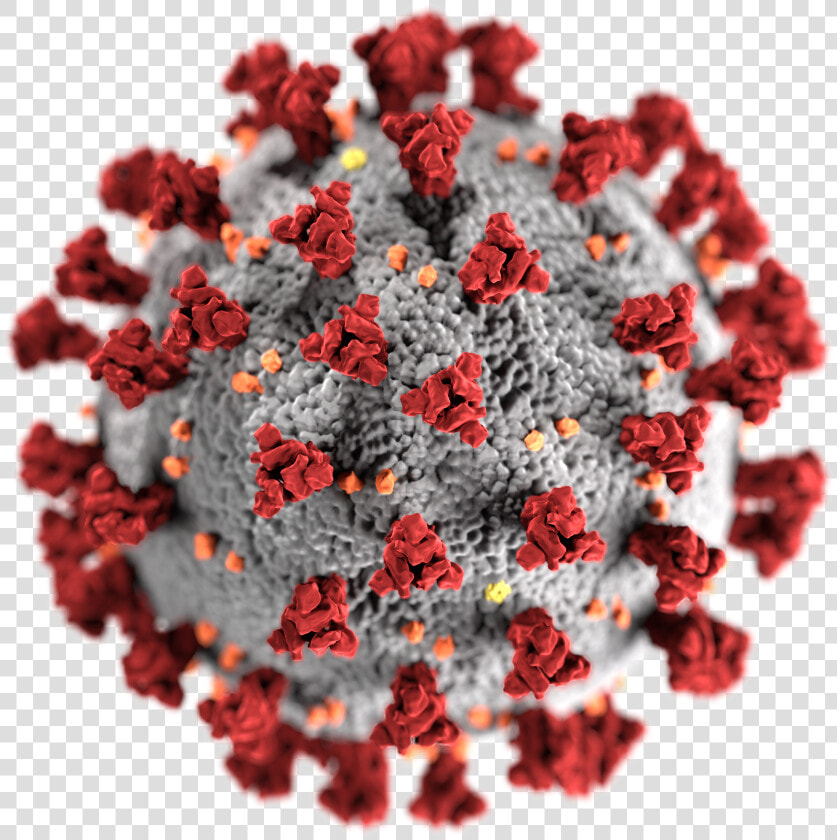 Sars Cov 2 Without Background   Covid 19  HD Png DownloadTransparent PNG