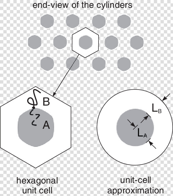 Transparent Meijiao Png   Circle  Png DownloadTransparent PNG