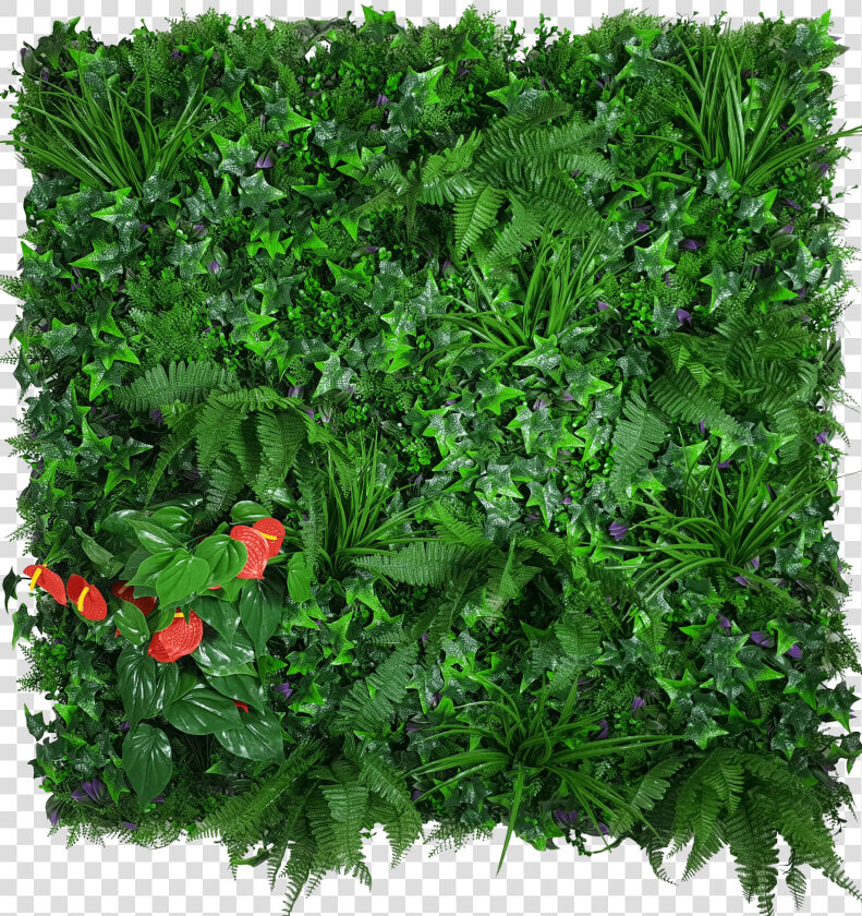 Artificial Green Wall Hedge Panel Mixed Jungle  HD Png DownloadTransparent PNG