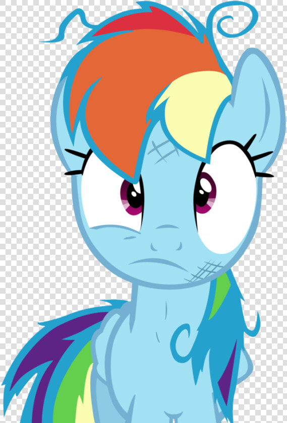We Got The Wrong Pony Vector By Darkfear   My Little Pony Twilight And Rainbow Dash  HD Png DownloadTransparent PNG