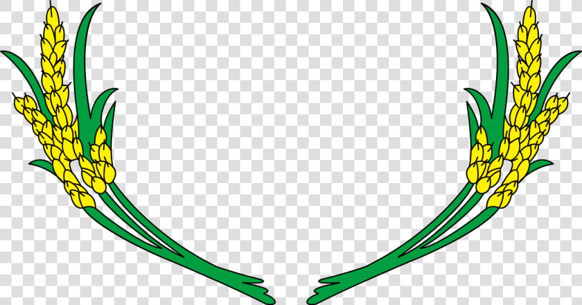 Rice Gadu Field Gratis   Vector Paddy Field Rice Png  Transparent PngTransparent PNG