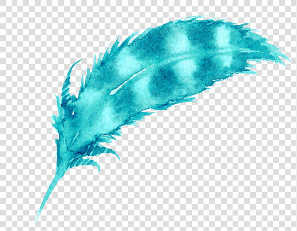 Feather Png Picsart Feather Sticker   Illustration  Transparent PngTransparent PNG