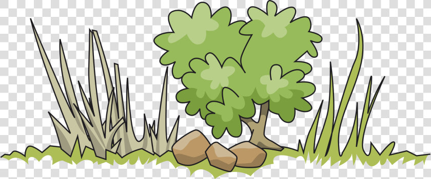 Border And Big Image   Shrub Clipart  HD Png DownloadTransparent PNG
