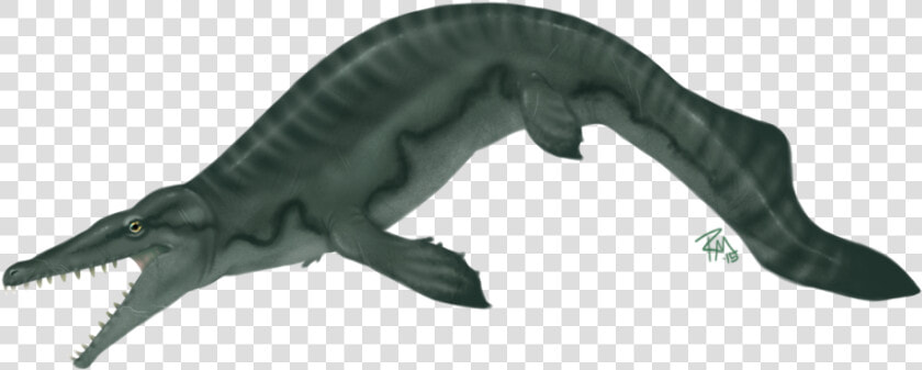 Transparent Mosasaurus Png   Png Mosasaurus  Png DownloadTransparent PNG