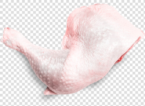 Macro Photography  HD Png DownloadTransparent PNG