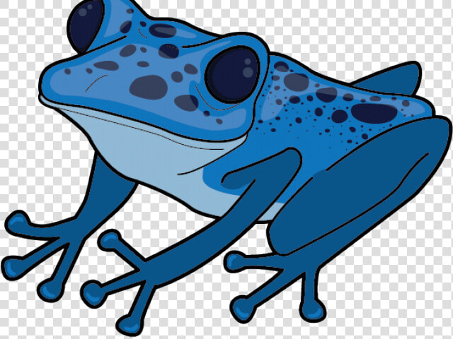 Transparent Blue Frog Png   Poison Dart Frog Clipart  Png DownloadTransparent PNG