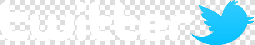 Twitter Logo   Twitter Bird Vector  HD Png DownloadTransparent PNG