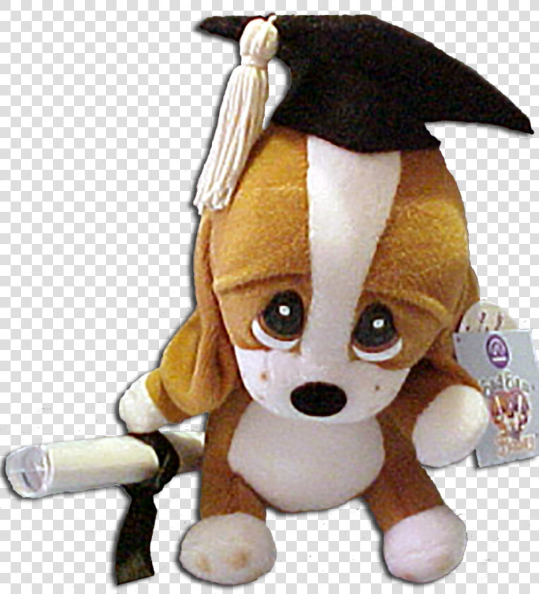 Graduation Plush Sad Sam With Personable Diploma Basset   Sad Sam  HD Png DownloadTransparent PNG
