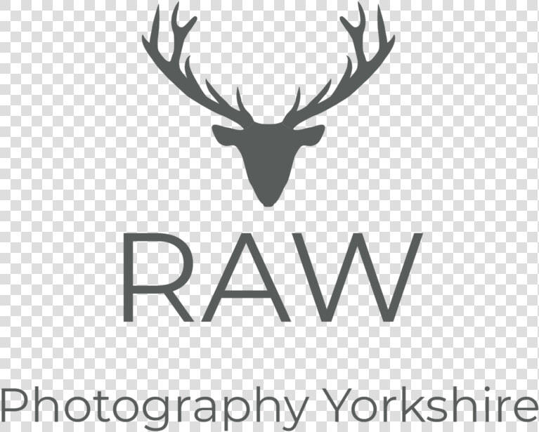 Drew Mcintyre Png  Transparent PngTransparent PNG