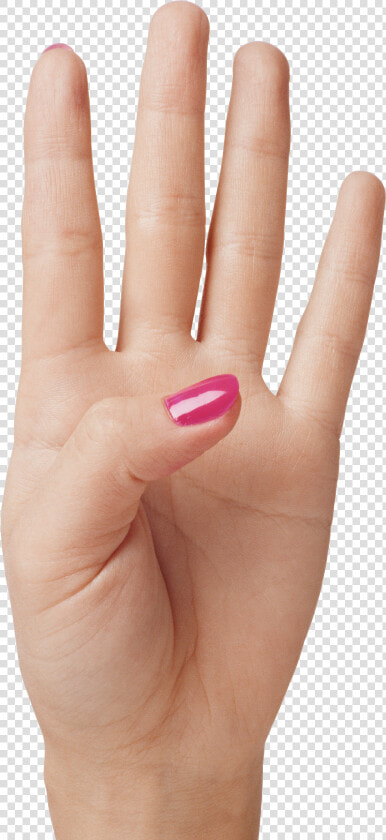 Hand Showing Four Fingers Png Clipart Image   4 Finger Png  Transparent PngTransparent PNG