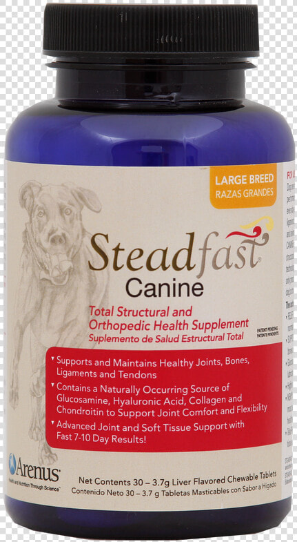 Stead Fast Canine  HD Png DownloadTransparent PNG