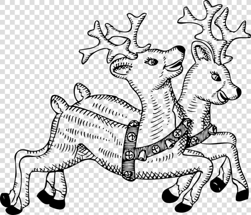 Reindeer  Animals  Deer  Flying  Christmas  Celebration   Reindeer Clipart Black And White  HD Png DownloadTransparent PNG