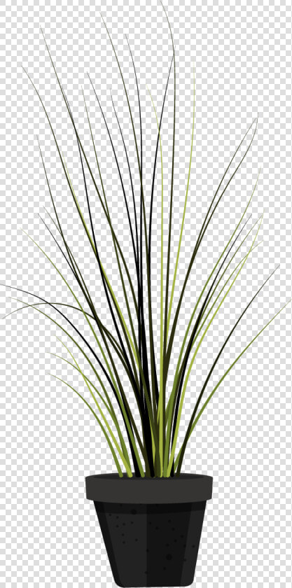 Houseplant  HD Png DownloadTransparent PNG