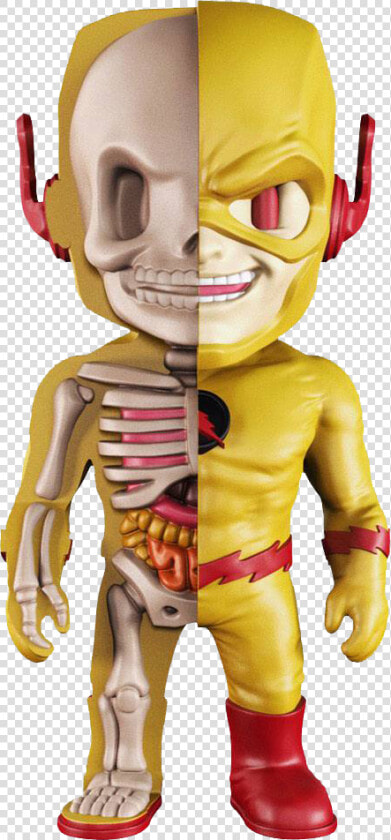 Dc Comics Xxray Figur Reverse Flash   Reverse Flash  HD Png DownloadTransparent PNG