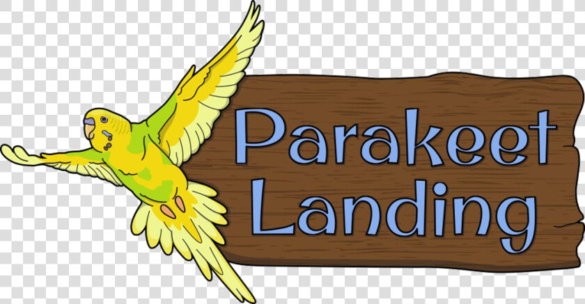 Parakeet Landing At Clyde Peeling S Reptiland   Parakeet  HD Png DownloadTransparent PNG
