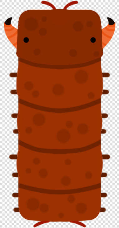 Arthropod  HD Png DownloadTransparent PNG