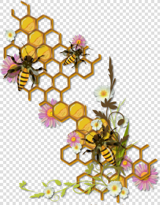 Honey Bee Honeycomb Drawing  HD Png DownloadTransparent PNG