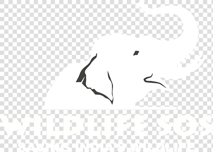Bijli Png  Transparent PngTransparent PNG