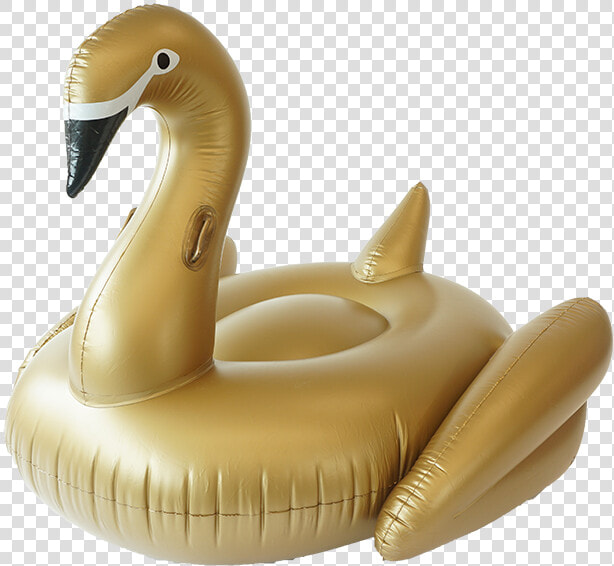 Transparent Pool Floaties Png   Floaties Png  Png DownloadTransparent PNG