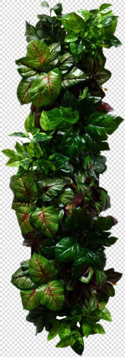 Wall Decor Png File   Home Decor Png  Transparent PngTransparent PNG