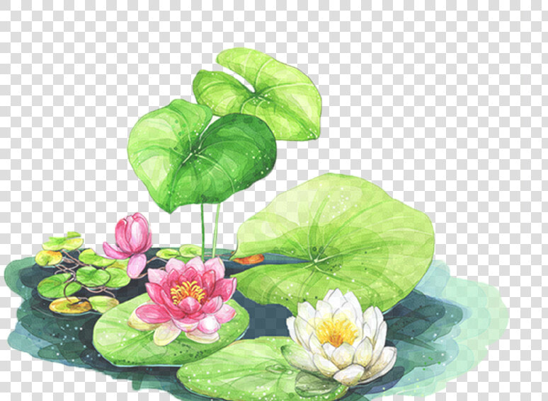 856 X 566   Drawing For 3d Lotus  HD Png DownloadTransparent PNG