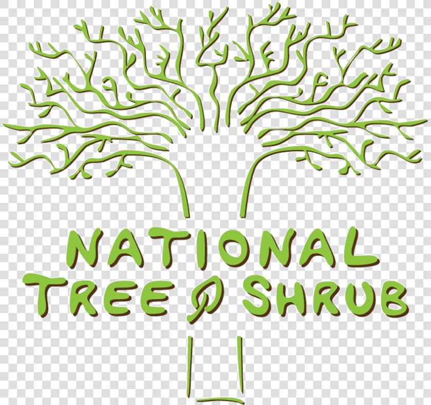 National Tree  amp  Shrub   Png Download  Transparent PngTransparent PNG