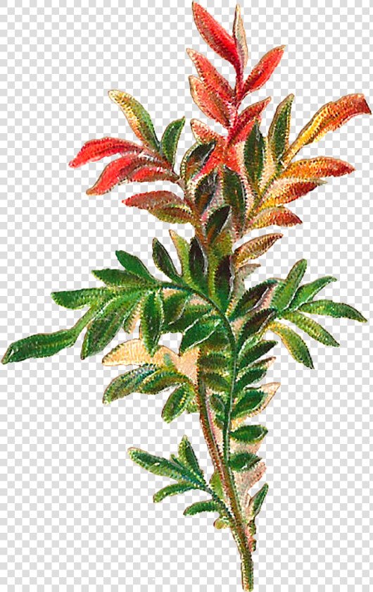 At Getdrawings Com Free For Personal Use  HD Png DownloadTransparent PNG
