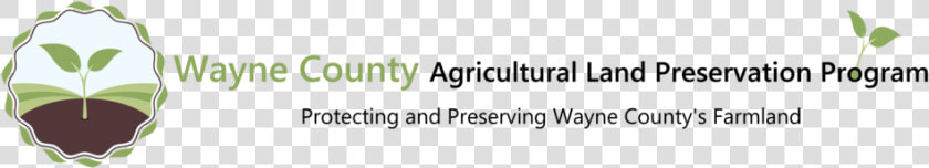 Farmland Png  Transparent PngTransparent PNG