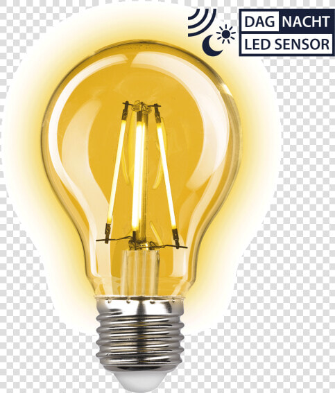 Buitenlamp Dolce Koper Dag Nacht Sensor Led Schemersensor   Led Lamp Met Sensor  HD Png DownloadTransparent PNG