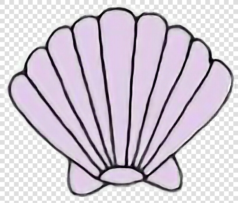 Sea Shell Seashell Mermaid Kawaii Pastel Freetoedit   Transparent Shell Clipart  HD Png DownloadTransparent PNG