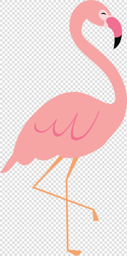 Flamingo Clip File   Clip Art Flamingo Png  Transparent PngTransparent PNG