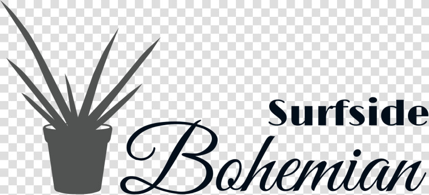 Bohemian Png  Transparent PngTransparent PNG
