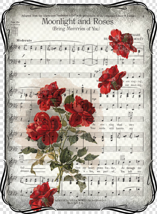 Pentagrama Musical Png  Transparent PngTransparent PNG