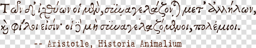 Handwriting  HD Png DownloadTransparent PNG