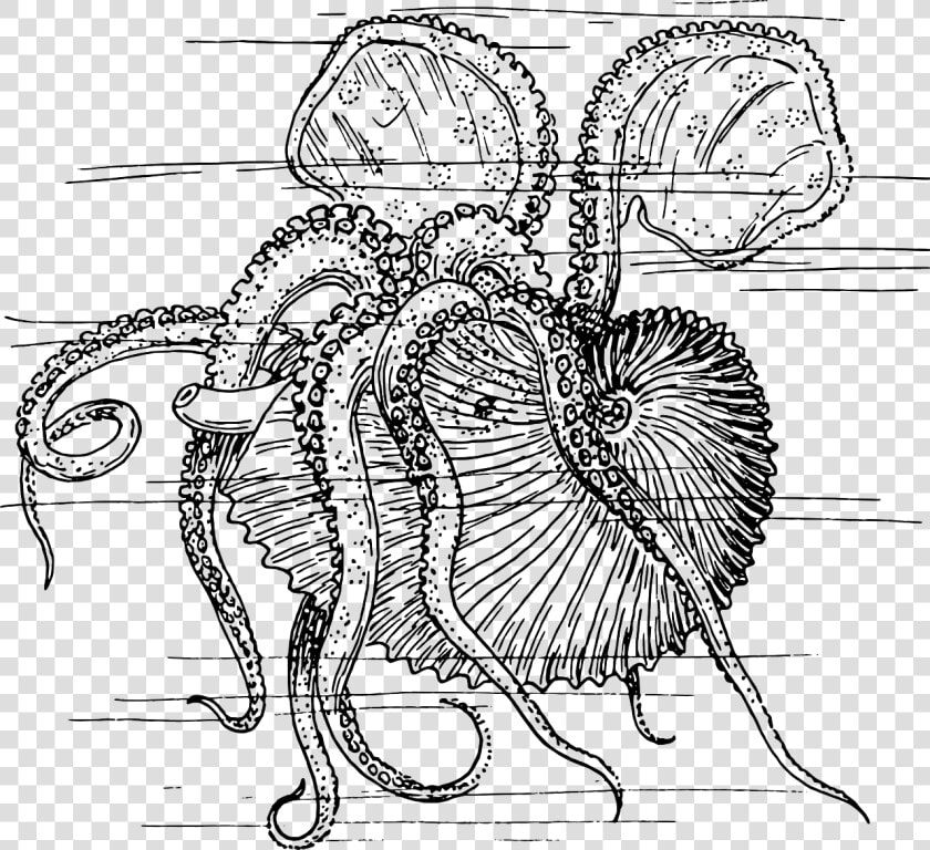 Sea Creature Drawings Kraken  HD Png DownloadTransparent PNG