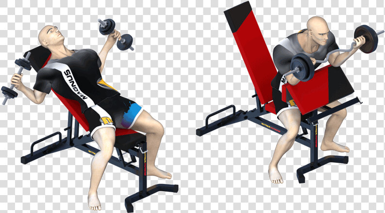 Killer Chest Workout On Magnus Design Bench   Chest Workout Cliparts  HD Png DownloadTransparent PNG