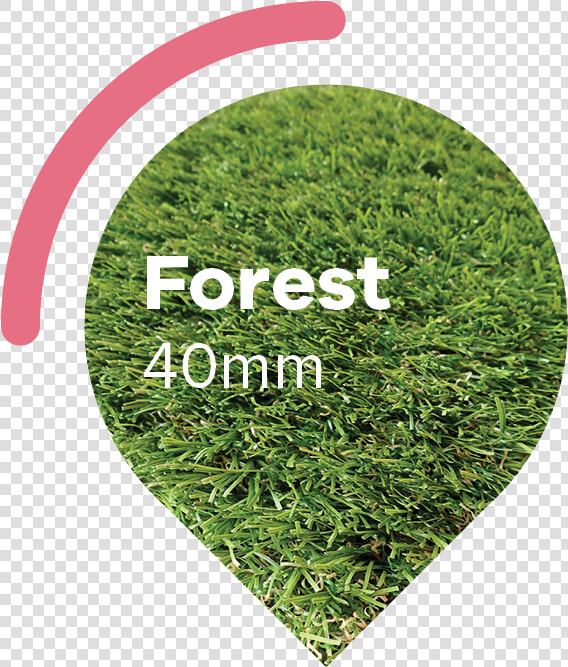 Woodland buble   Artificial Turf  HD Png DownloadTransparent PNG