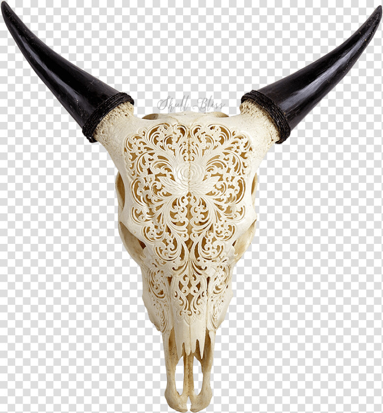 Carved Cow Skull   Animal Skulls With Designs  HD Png DownloadTransparent PNG