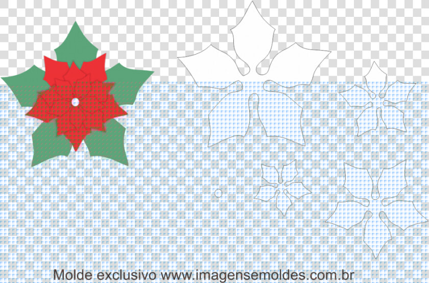Molde Flor De Natal  HD Png DownloadTransparent PNG