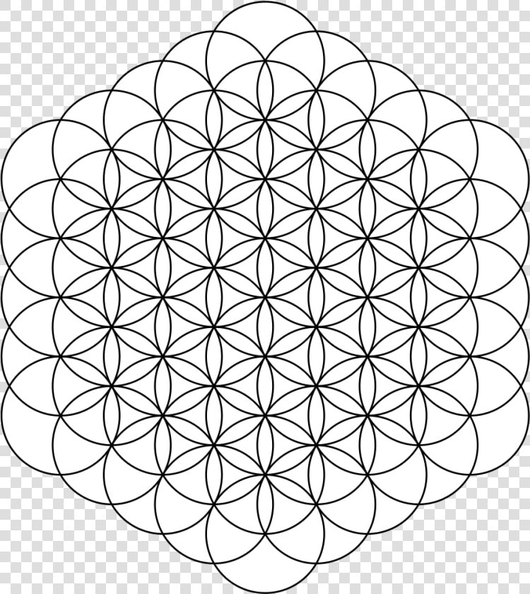 Flower Of Life 61circles   Flower Of Life Png  Transparent PngTransparent PNG