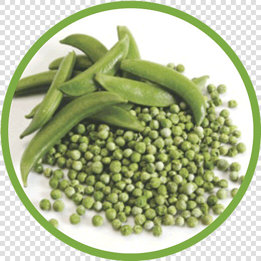 Our Peas Are One Of The Many Dried Vegetables We Offer   Snap Pea  HD Png DownloadTransparent PNG