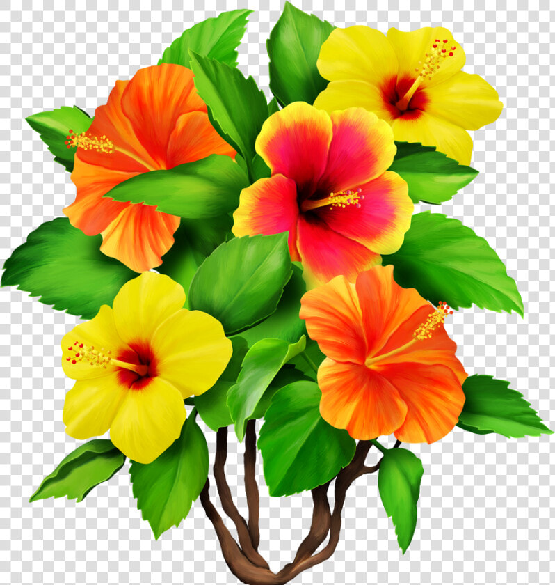Hawaiian Aloha Tropical   Tropical Flowers Png  Transparent PngTransparent PNG