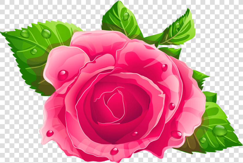 Single Rose Flowers Png   Rosa Cor De Rosa Png  Transparent PngTransparent PNG