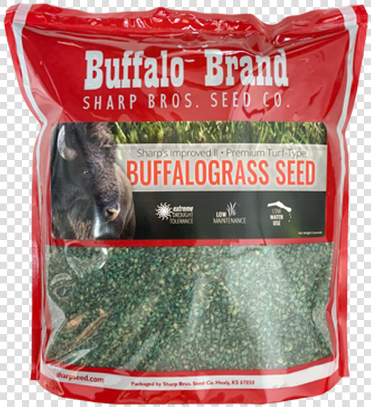 Reed Grass Png  Transparent PngTransparent PNG
